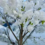 아파트 Oasis De Confort Urbano Terrace Zen 비고