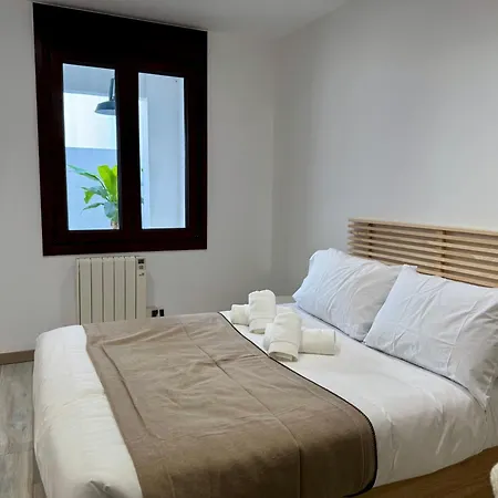Oasis De Confort Urbano Terrace Zen Apartment