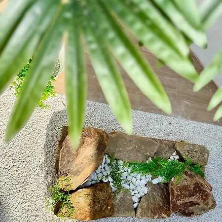 Unetti Oasis Terraza Zen