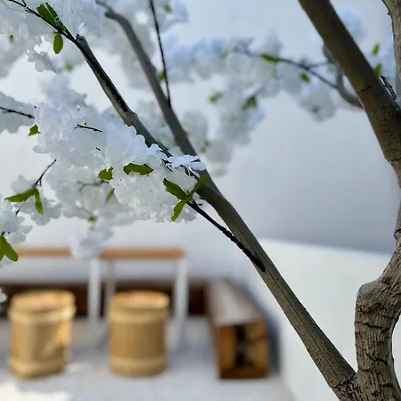 Appartamento Unetti Oasis Terraza Zen