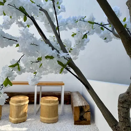 Oasis De Confort Urbano Terrace Zen Apartment *