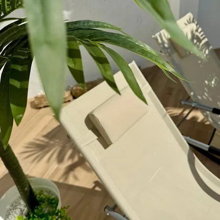 Apartment Oasis De Confort Urbano Terrace Zen *