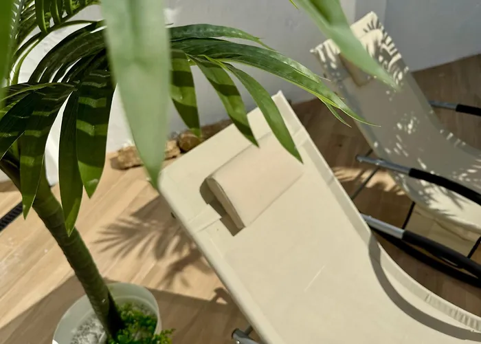 Apartamento Oasis De Confort Urbano Terrace Zen *